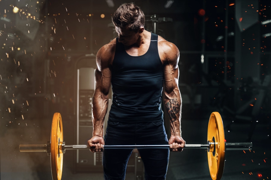 Sports Nutrition